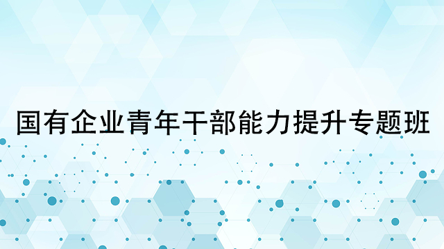 国有企业青年干部能力提升专题班